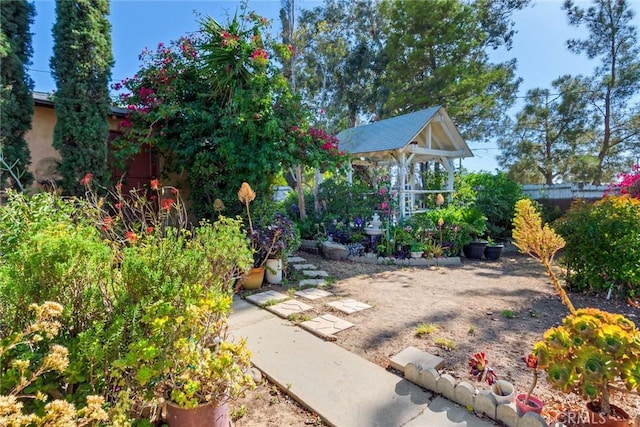 946 W 9th St, Corona, CA 92882 - view of yard