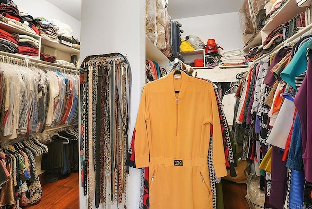 7132 Torrey Mesa Ct, San Diego, CA 92129 - walk in closet featuring wood finished floors
