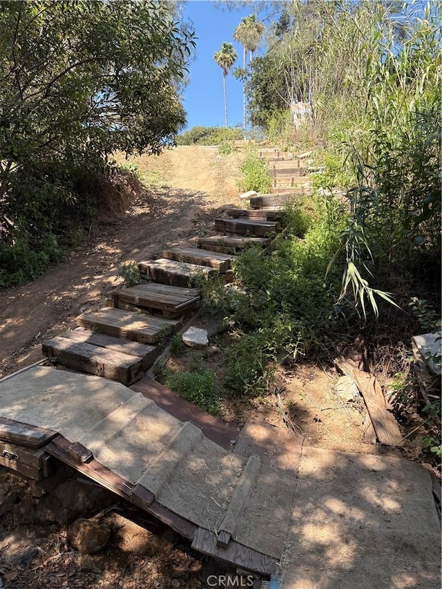 22555 Fern Ann Falls Rd, Chatsworth, CA 91311 - view of yard