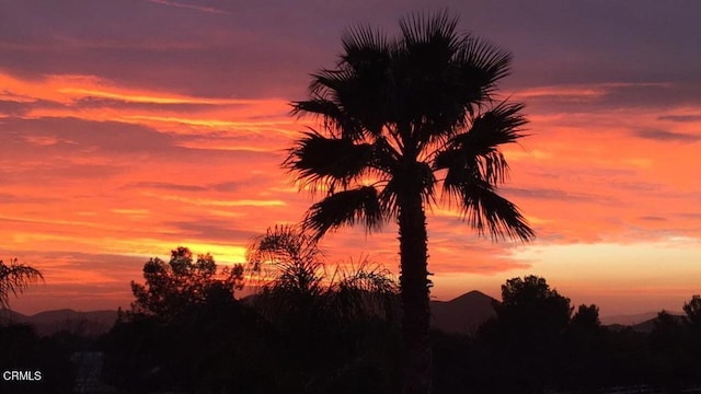 35135 Caprock Rd, Santa Clarita, CA 91390 - view of nature at dusk