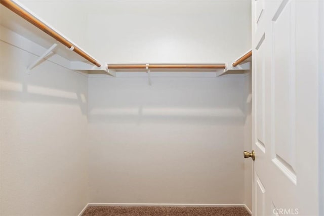 19126 Frances St, Apple Valley, CA 92308 - spacious closet with carpet flooring