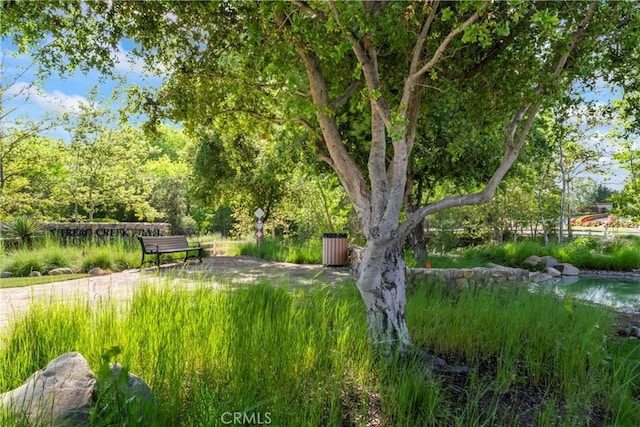 1544 Big Horn, Beaumont, CA 92223 - photo 51