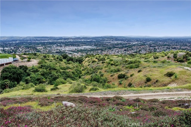 350 Roughrider Rd, La Verne, CA 91750 - drone / aerial view
