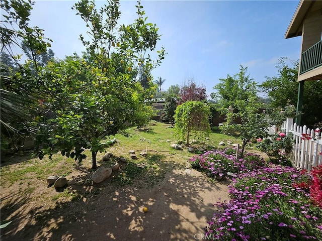 9740 La Canada Way, Shadow Hills, CA 91040 - view of yard