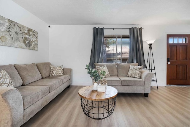 1025 4th Ave Unit 8, Chula Vista, CA 91911 - living room featuring wood finished floors and baseboards