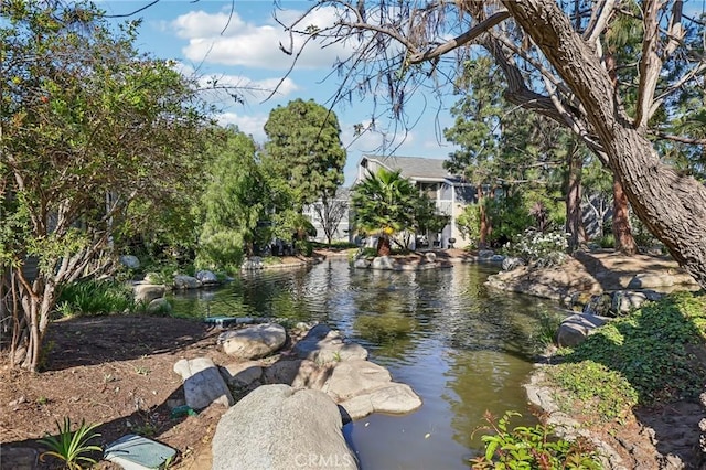 25447 Pine Creek Ln, Wilmington, CA 90744 - view of yard
