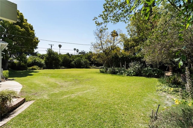 1424 E Vine Ave, West Covina, CA 91791 - view of grassy yard