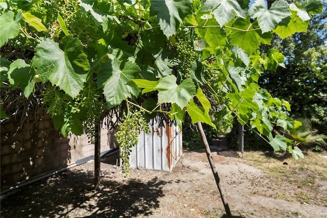 1424 E Vine Ave, West Covina, CA 91791 - view of yard