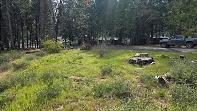 14738 Northwood Dr, Magalia, CA 95954 - photo 8