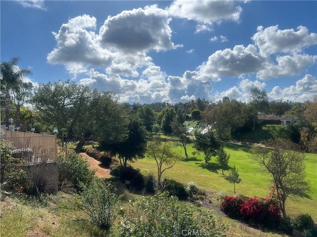 21166 E Rimpath Dr, Covina, CA 91724 - view of local wilderness