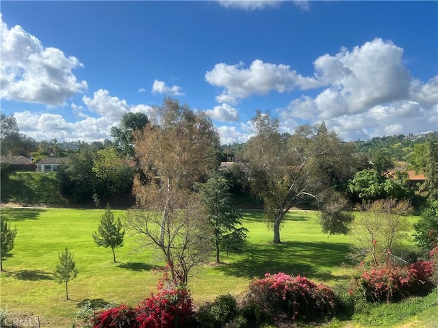 21166 E Rimpath Dr, Covina, CA 91724 - view of community with a yard
