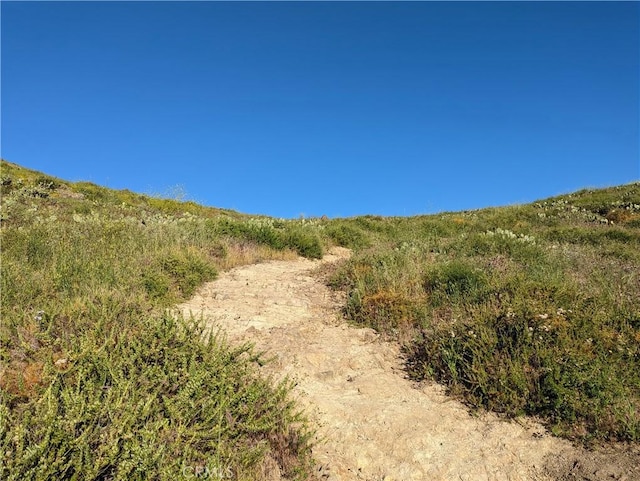 152 N Singingwood St Unit 6, Orange, CA 92869 - view of nature