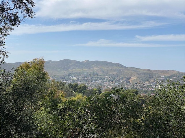 2818 Via Blanco, San Clemente, CA 92673 - view of mountain background