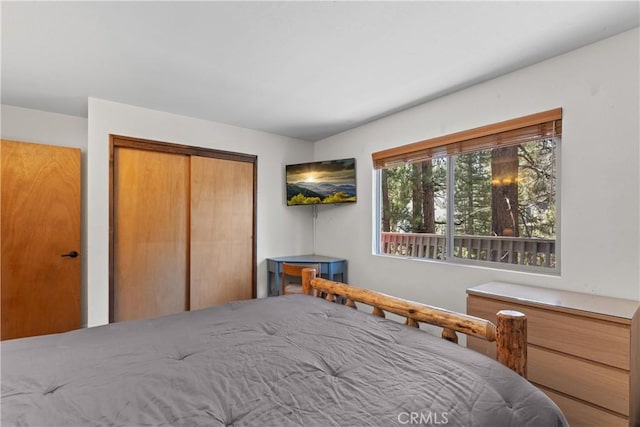 42646 Constellation Dr, Big Bear Lake, CA 92315 - bedroom featuring a closet