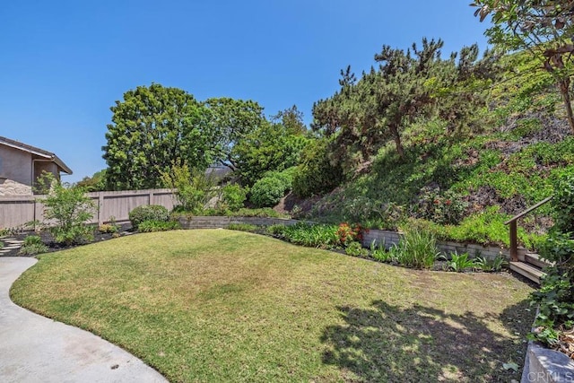 6843 Claremore Ave, San Diego, CA 92120 - view of yard