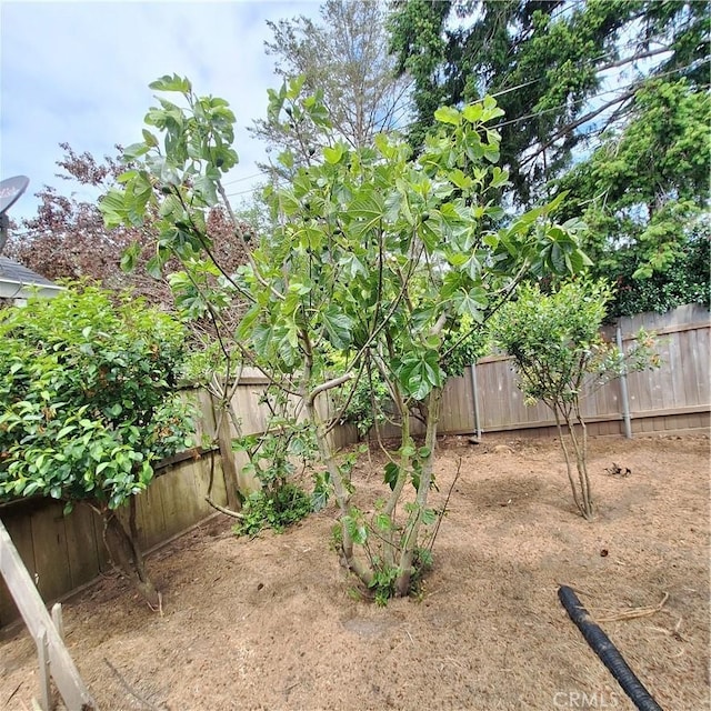 3473 Mclean St, Eureka, CA 95501 - view of fenced backyard