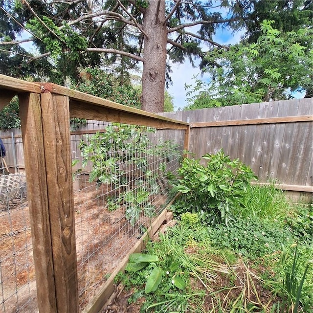 3473 Mclean St, Eureka, CA 95501 - view of yard