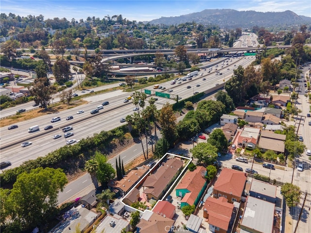 2674 Knox Ave, Los Angeles, CA 90039 - photo 32