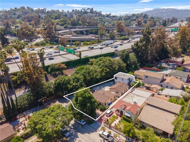 2679 Knox Ave, Los Angeles, CA 90039 - photo 5