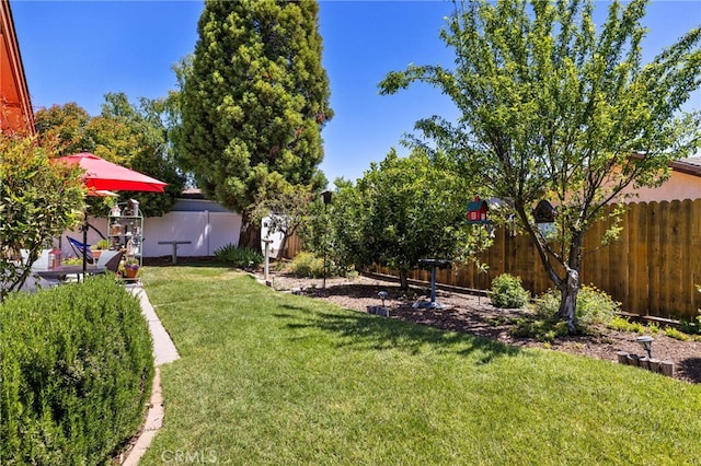 73 Mockingbird Ln, Templeton, CA 93465 - view of yard