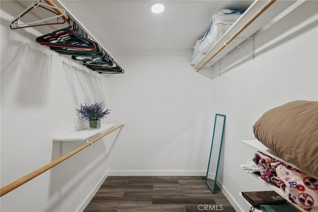12235 Circula Panorama, North Tustin, CA 92705 - walk in closet with dark wood finished floors
