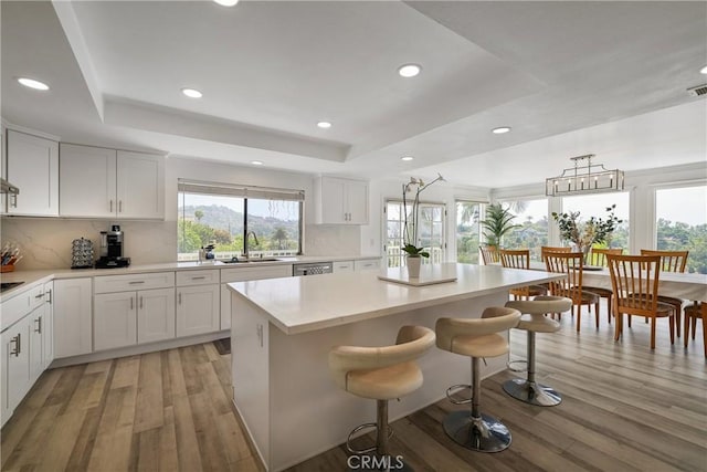12235 Circula Panorama, North Tustin, CA 92705 - kitchen with a raised ceiling, light wood finished floors, a sink, a breakfast bar, and light countertops