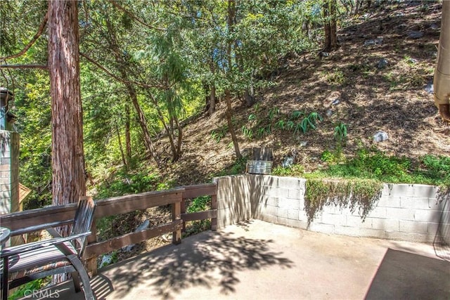 9323 Cedar Dr, Forest Falls, CA 92339 - photo 30