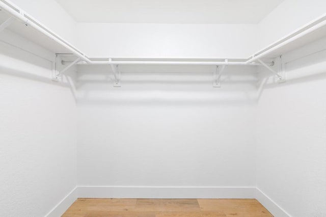 4161 Rhodes Way, Oceanside, CA 92056 - walk in closet with light wood-type flooring