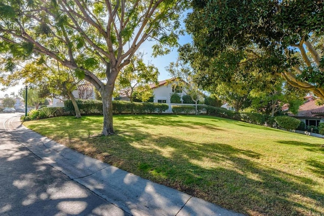 4161 Rhodes Way, Oceanside, CA 92056 - view of grassy yard