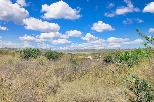 2486 Napoli Way, Costa Mesa, CA 92627 - view of local wilderness