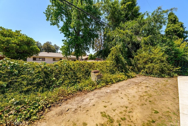2407 E Walnut Crk, West Covina, CA 91791 - view of yard