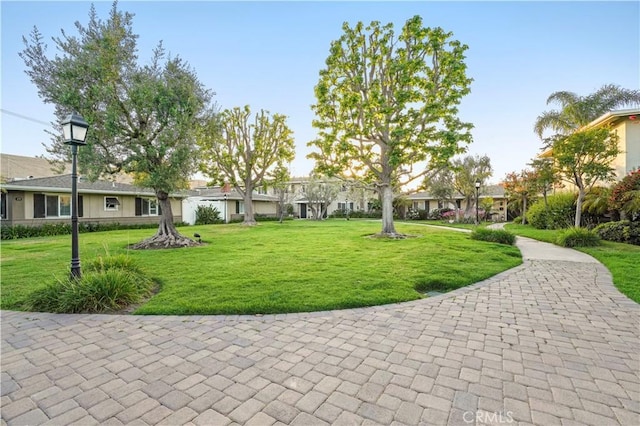 1741 Tustin Ave Unit 5, Costa Mesa, CA 92627 - view of community with a yard