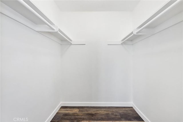 1741 Tustin Ave Unit 2A, Costa Mesa, CA 92627 - walk in closet with dark wood-type flooring