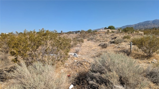 0 Del Rosa, Pinon Hills, CA 92372