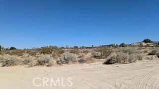 0 Del Rosa, Pinon Hills, CA 92372 - photo 8