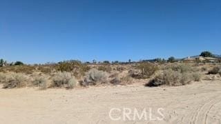 0 Del Rosa, Pinon Hills, CA 92372 - photo 4