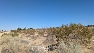 0 Del Rosa, Pinon Hills, CA 92372 - photo 7
