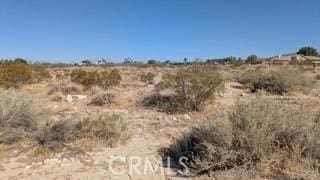 0 Del Rosa, Pinon Hills, CA 92372 - photo 2