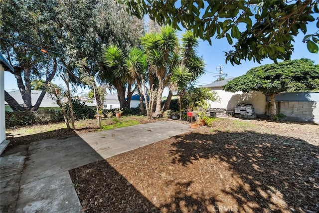 3549 S Cochran Ave, Los Angeles, CA 90016 - view of yard with a patio area