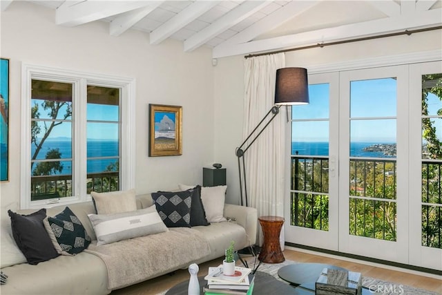 802 Rembrandt Dr, Laguna Beach, CA 92651 - living room with plenty of natural light, a water view, and wood finished floors