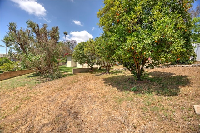 1200 N Cypress St, La Habra Heights, CA 90631 - view of green lawn