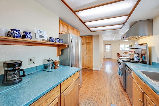 1200 N Cypress St, La Habra Heights, CA 90631 - kitchen featuring wall chimney range hood, light wood-type flooring, stainless steel appliances, baseboards, and a sink