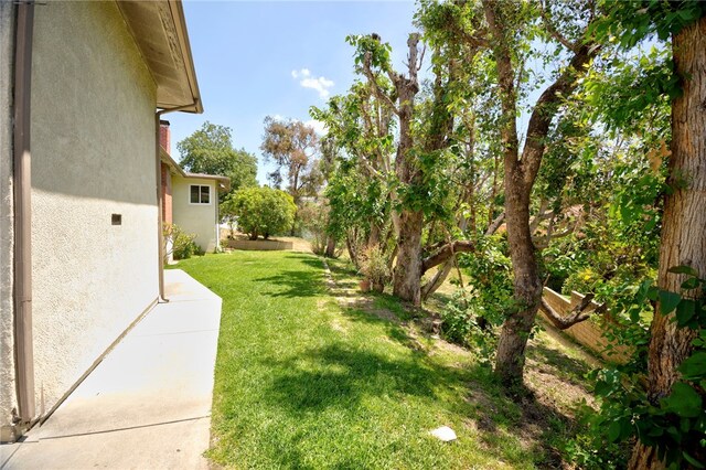 1200 N Cypress St, La Habra Heights, CA 90631 - view of green lawn