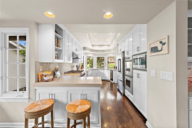 31751 E Nine, Laguna Niguel, CA 92677 - kitchen featuring under cabinet range hood, stainless steel appliances, a peninsula, a raised ceiling, and dark wood finished floors
