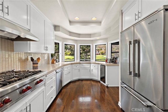 31751 E Nine, Laguna Niguel, CA 92677 - kitchen featuring stainless steel appliances, under cabinet range hood, recessed lighting, dark wood-style floors, and a tray ceiling