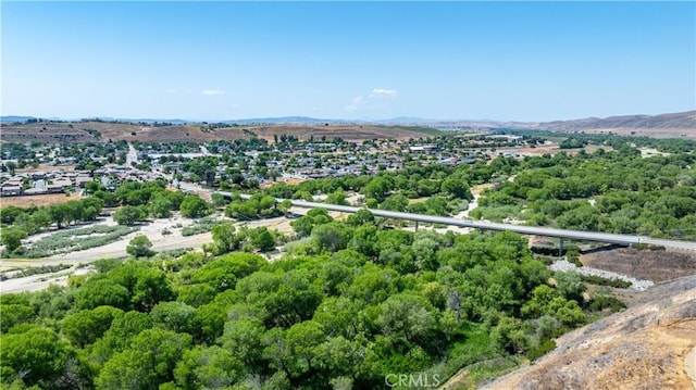 13165 N Bluffs Ct, San Miguel, CA 93451 - bird's eye view