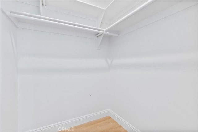 13165 N Bluffs Ct, San Miguel, CA 93451 - walk in closet with light wood-type flooring