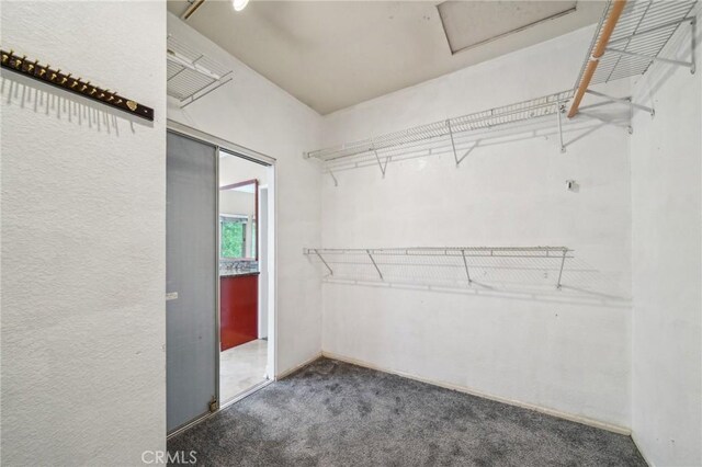 12958 Boston Ave, Chino, CA 91710 - walk in closet with carpet and attic access