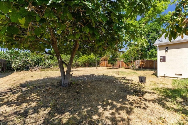 14259 Emelita St, Van Nuys, CA 91401 - view of yard