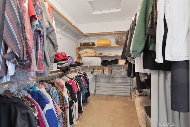 14303 Schooner Dr, Helendale, CA 92342 - spacious closet with carpet floors and attic access